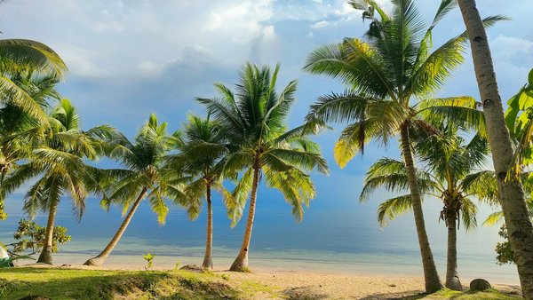 Peut-on trouver une location de vacances en Laponie avec des excursions en traîneau à chiens et des cours de survie en milieu polaire?