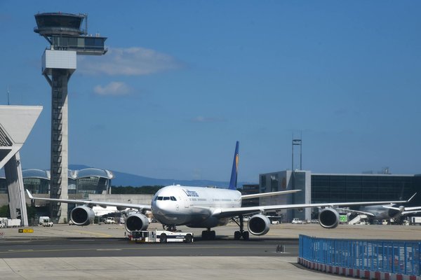 Comment découvrir la faune et la flore uniques des îles Galápagos ?